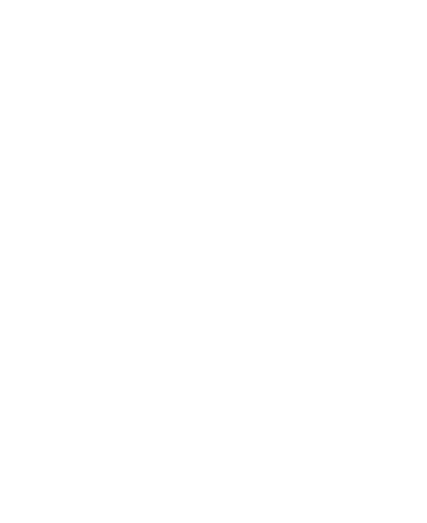 DC Geckos, carer and hobbyist of leopard geckos